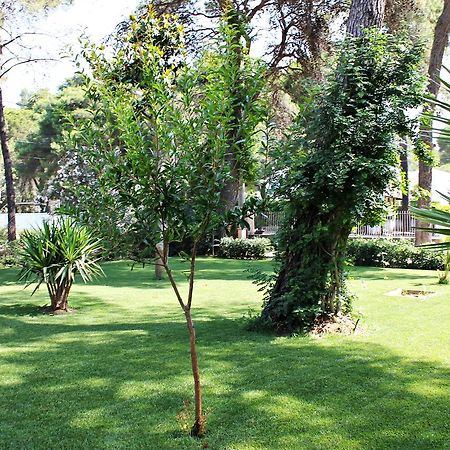 Il Melograno B&B Кастелланета-Марина Экстерьер фото